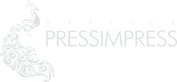 website logo